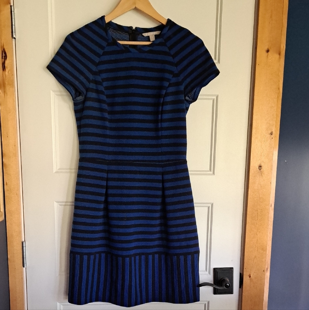 Banana Republic Navy and Black Striped Mini Dress